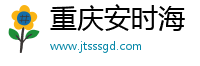重庆安时海